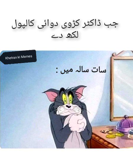 Memes & Satire image