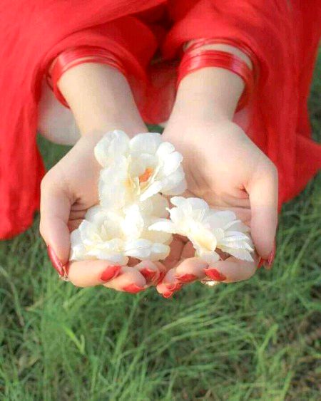 Beautiful Nature image