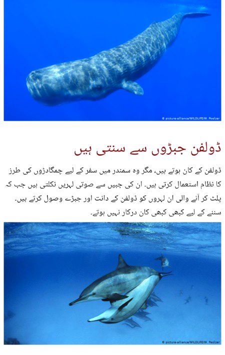 Interesting Posts image