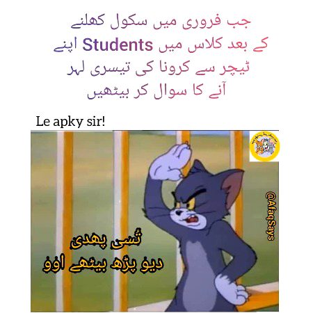 Memes & Satire image
