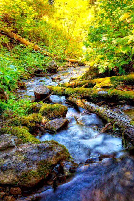 Beautiful Nature image