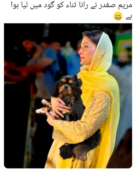 Memes & Satire image