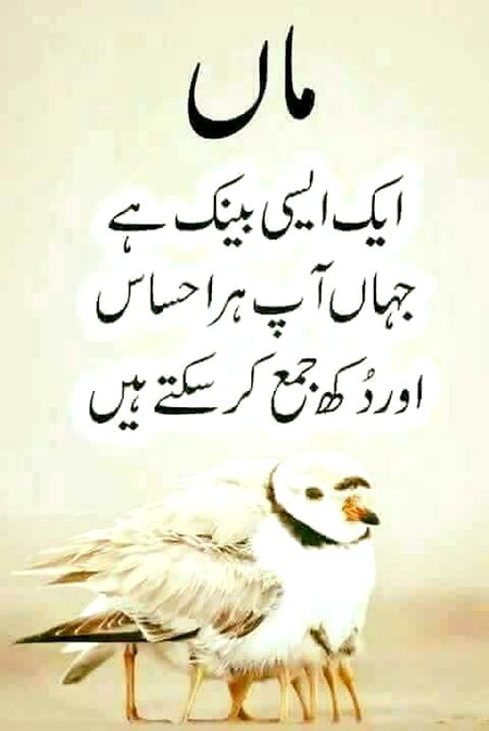Life Advice image