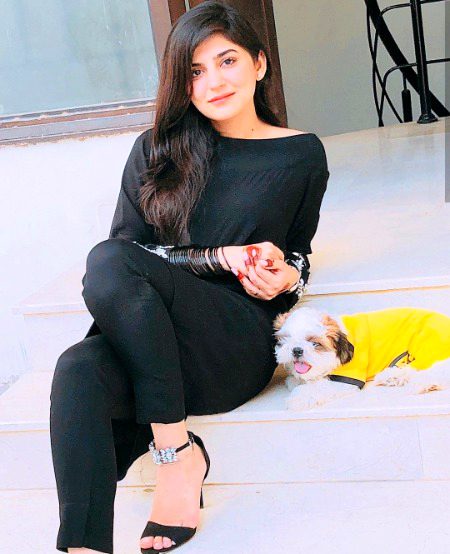 Pakistani Celebs image