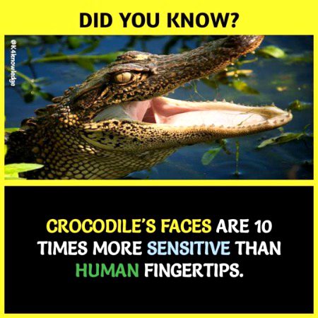 Interesting Posts image
