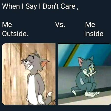 Memes & Satire image