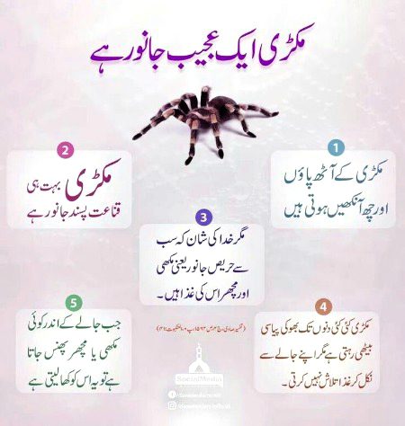 Interesting Posts image