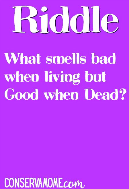 Riddles & Puzzles image