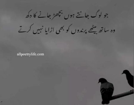 Sad Poetry image