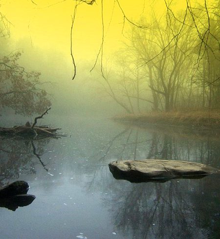 Beautiful Nature image