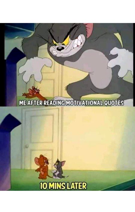 Memes & Satire image