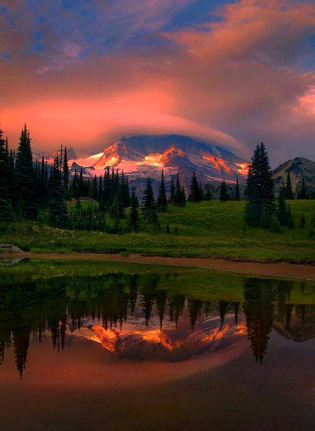 Beautiful Nature image