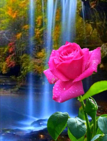Beautiful Nature image