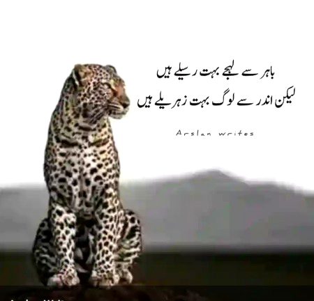Life Advice image