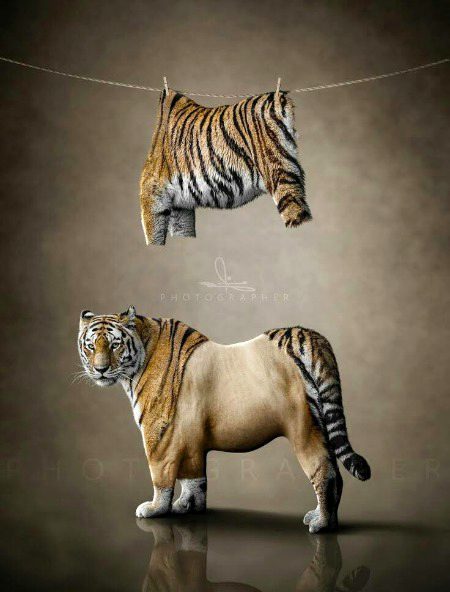 Digital Art image