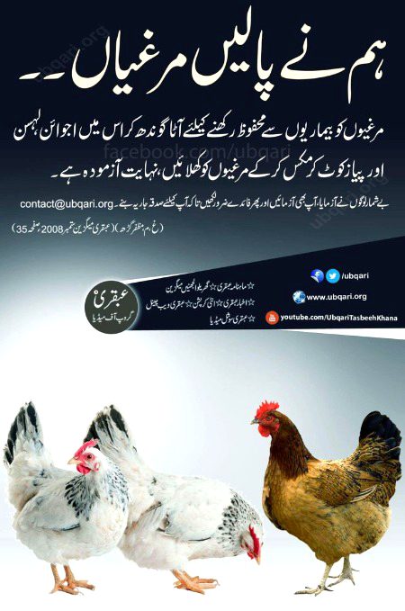 Interesting Posts image