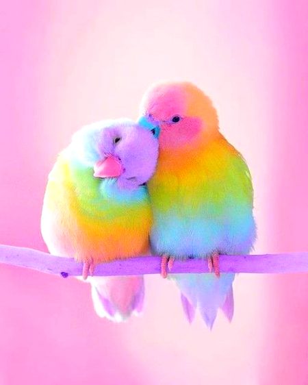 Beautiful Nature image
