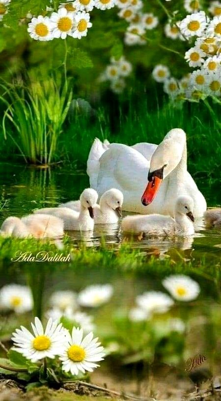 Beautiful Nature image