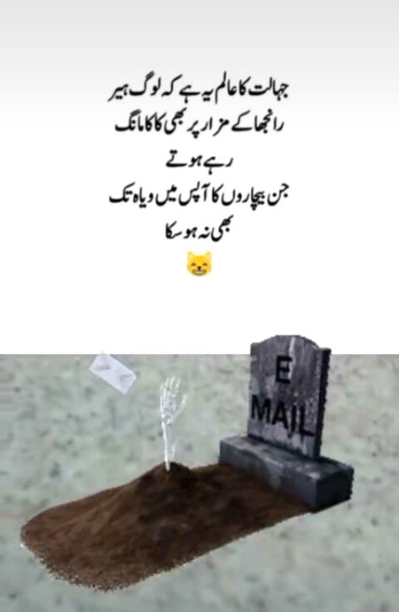 Memes & Satire image