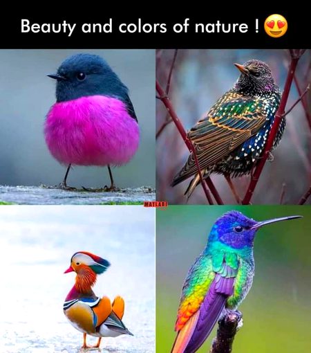 Interesting Posts image