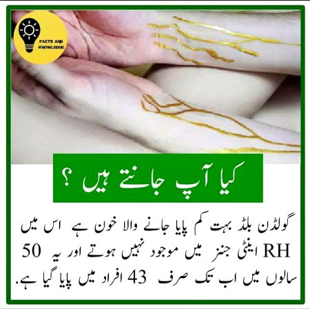 Interesting Posts image