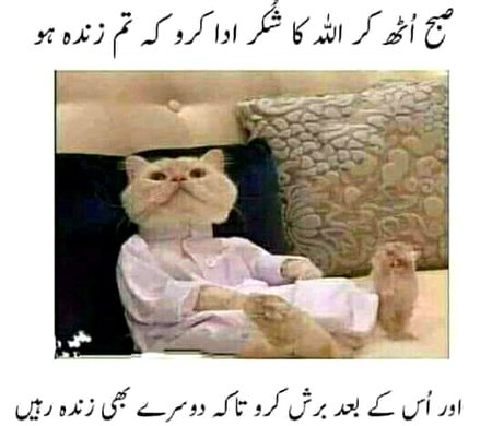 Social media post