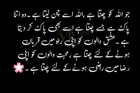 Islamic Quotes image