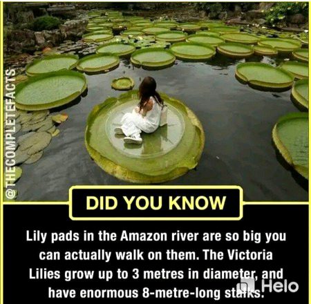 Interesting Posts image