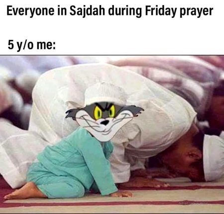 Memes & Satire image