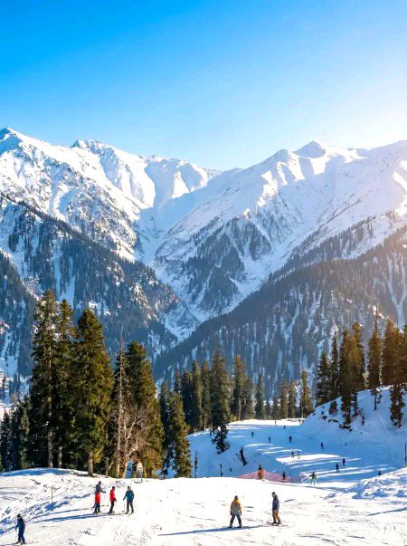 Beautiful Nature image