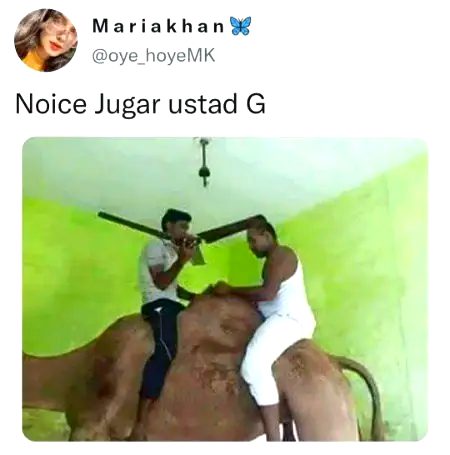 Memes & Satire image