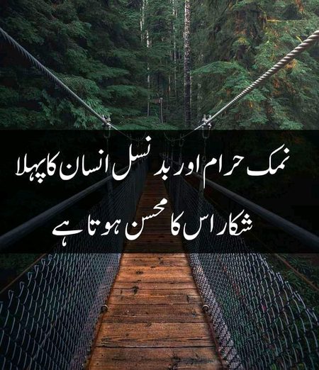 Attitude Quotes image