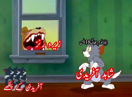 Memes & Satire image