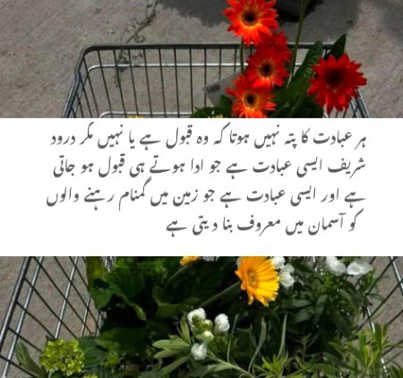Islamic Quotes image