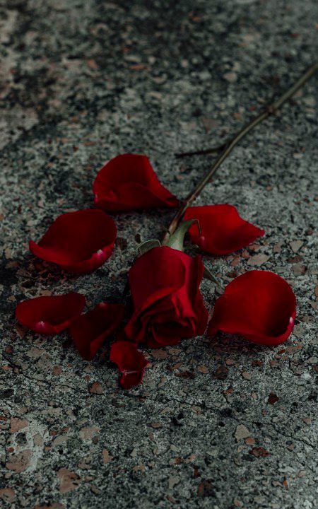 Beautiful Nature image