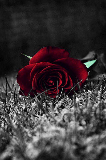 Beautiful Nature image