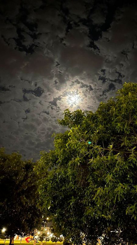 Beautiful Nature image