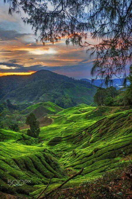 Beautiful Nature image