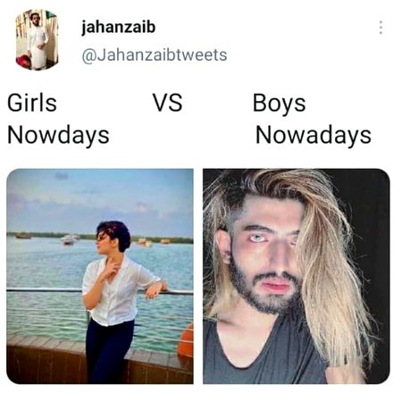 Memes & Satire image