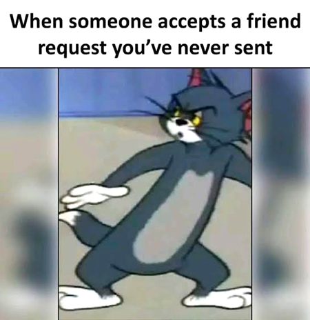 Memes & Satire image