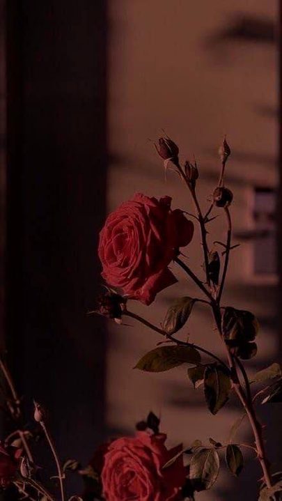 Beautiful Nature image