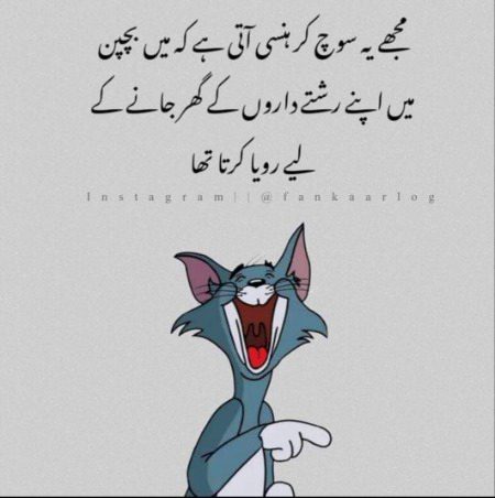 Memes & Satire image