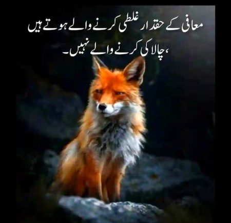 Social media post