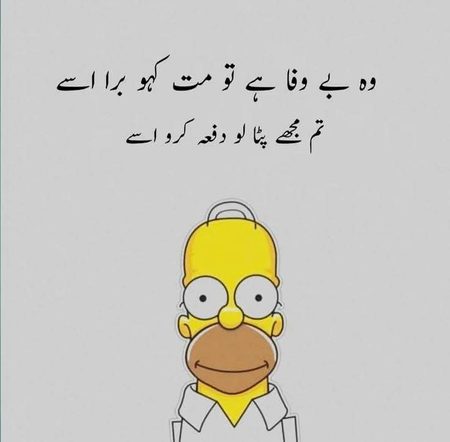 Memes & Satire image