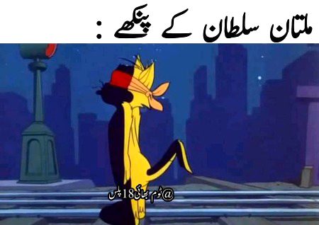Memes & Satire image