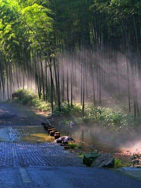 Beautiful Nature image