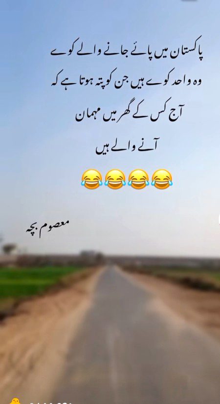 Memes & Satire image