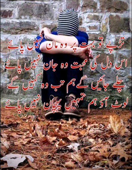 Sad Poetry image