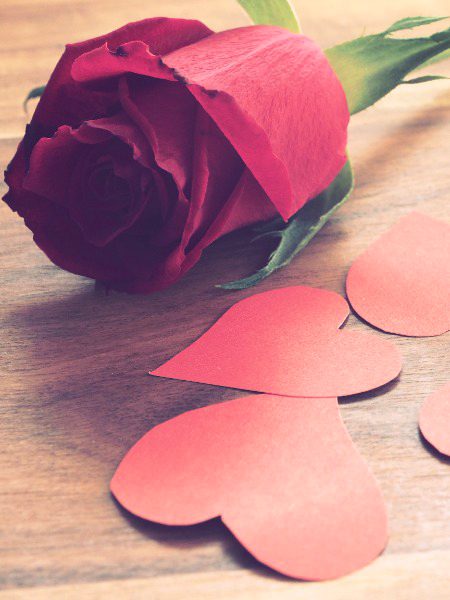 Beautiful Nature image