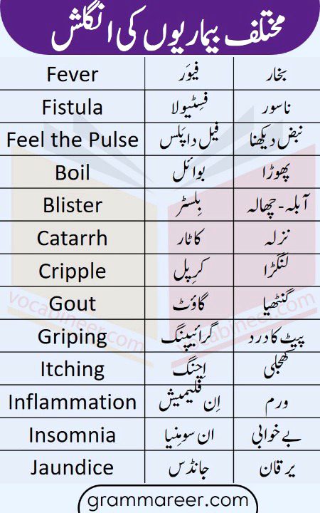 Tips for Students image